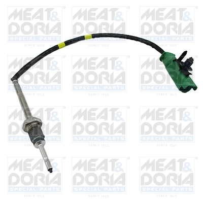 Sensor, exhaust gas temperature